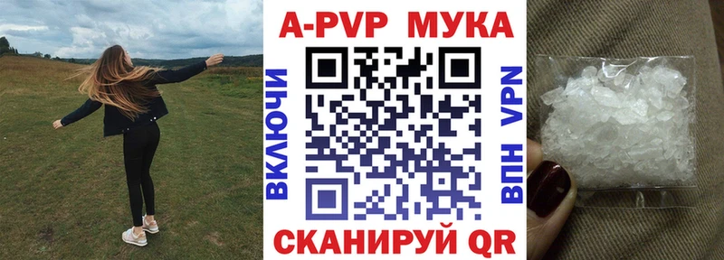 дарк нет Telegram  Балаково  A PVP крисы CK  ОМГ ОМГ ссылка 